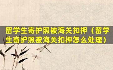 留学生寄护照被海关扣押（留学生寄护照被海关扣押怎么处理）