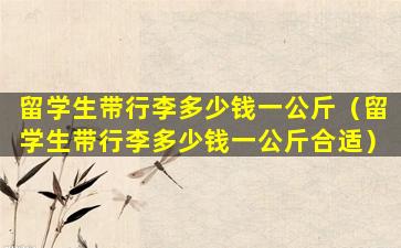 留学生带行李多少钱一公斤（留学生带行李多少钱一公斤合适）