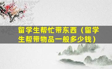 留学生帮忙带东西（留学生帮带物品一般多少钱）