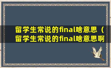 留学生常说的final啥意思（留学生常说的final啥意思啊）