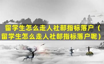 留学生怎么走人社部指标落户（留学生怎么走人社部指标落户呢）