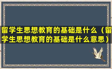 留学生思想教育的基础是什么（留学生思想教育的基础是什么意思）