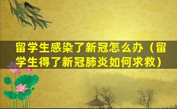 留学生感染了新冠怎么办（留学生得了新冠肺炎如何求救）