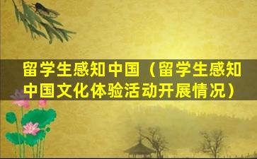 留学生感知中国（留学生感知中国文化体验活动开展情况）