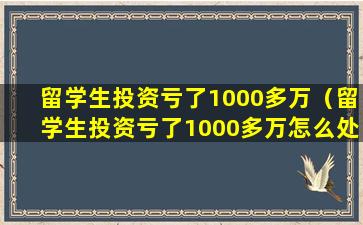 留学生投资亏了1000多万（留学生投资亏了1000多万怎么处理）