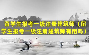 留学生报考一级注册建筑师（留学生报考一级注册建筑师有用吗）