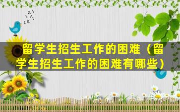 留学生招生工作的困难（留学生招生工作的困难有哪些）