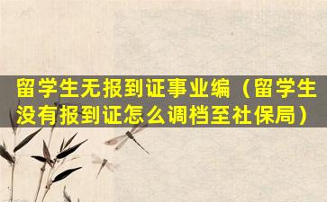 留学生无报到证事业编（留学生没有报到证怎么调档至社保局）