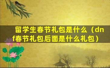 留学生春节礼包是什么（dnf春节礼包后面是什么礼包）