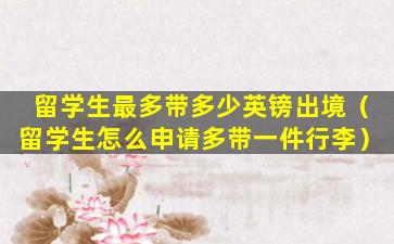 留学生最多带多少英镑出境（留学生怎么申请多带一件行李）