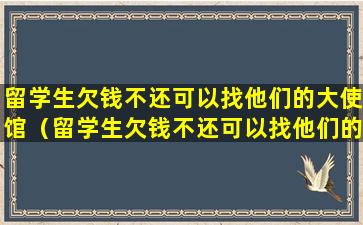 留学生欠钱不还可以找他们的大使馆（留学生欠钱不还可以找他们的大使馆嘛）