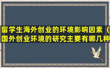 留学生海外创业的环境影响因素（国外创业环境的研究主要有哪几种研究框架）