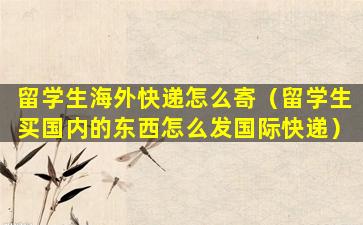 留学生海外快递怎么寄（留学生买国内的东西怎么发国际快递）
