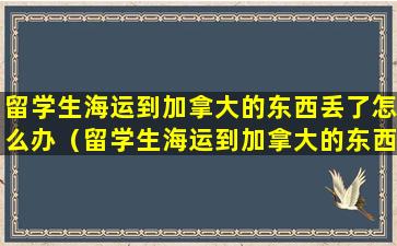 留学生海运到加拿大的东西丢了怎么办（留学生海运到加拿大的东西丢了怎么办呢）