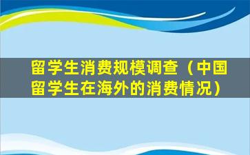 留学生消费规模调查（中国留学生在海外的消费情况）