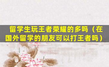 留学生玩王者荣耀的多吗（在国外留学的朋友可以打王者吗）