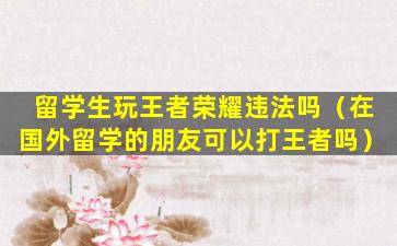 留学生玩王者荣耀违法吗（在国外留学的朋友可以打王者吗）