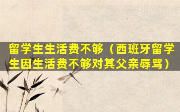留学生生活费不够（西班牙留学生因生活费不够对其父亲辱骂）