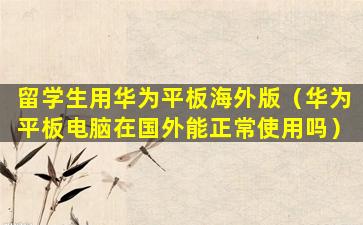 留学生用华为平板海外版（华为平板电脑在国外能正常使用吗）