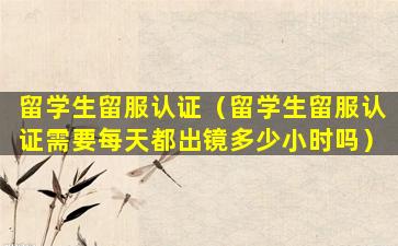 留学生留服认证（留学生留服认证需要每天都出镜多少小时吗）