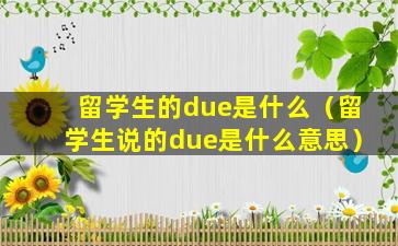 留学生的due是什么（留学生说的due是什么意思）