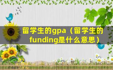 留学生的gpa（留学生的funding是什么意思）