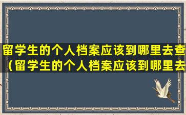 留学生的个人档案应该到哪里去查（留学生的个人档案应该到哪里去查询）