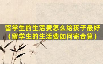 留学生的生活费怎么给孩子最好（留学生的生活费如何寄合算）