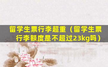 留学生票行李超重（留学生票行李额度是不超过23kg吗）