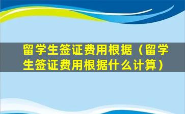 留学生签证费用根据（留学生签证费用根据什么计算）