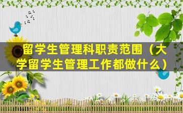 留学生管理科职责范围（大学留学生管理工作都做什么）