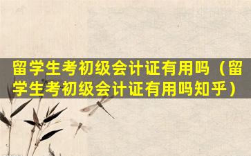 留学生考初级会计证有用吗（留学生考初级会计证有用吗知乎）