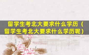 留学生考北大要求什么学历（留学生考北大要求什么学历呢）
