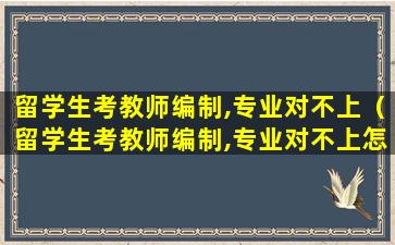 留学生考教师编制,专业对不上（留学生考教师编制,专业对不上怎么办）