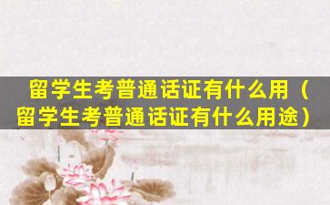 留学生考普通话证有什么用（留学生考普通话证有什么用途）