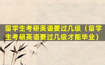 留学生考研英语要过几级（留学生考研英语要过几级才能毕业）