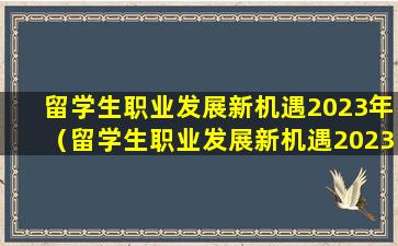 留学生职业发展新机遇2023年（留学生职业发展新机遇2023年度）