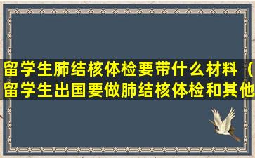 留学生肺结核体检要带什么材料（留学生出国要做肺结核体检和其他什么体检）