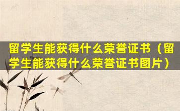 留学生能获得什么荣誉证书（留学生能获得什么荣誉证书图片）