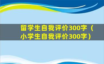 留学生自我评价300字（小学生自我评价300字）