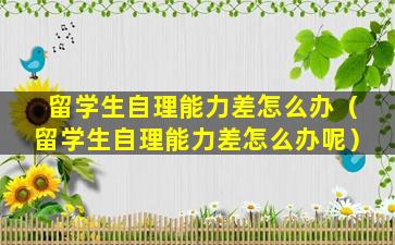 留学生自理能力差怎么办（留学生自理能力差怎么办呢）