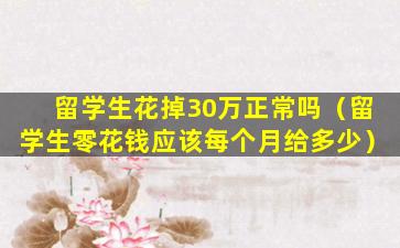 留学生花掉30万正常吗（留学生零花钱应该每个月给多少）