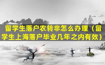 留学生落户农转非怎么办理（留学生上海落户毕业几年之内有效）