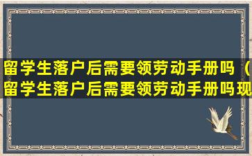 留学生落户后需要领劳动手册吗（留学生落户后需要领劳动手册吗现在）