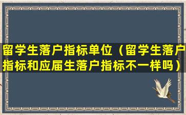留学生落户指标单位（留学生落户指标和应届生落户指标不一样吗）