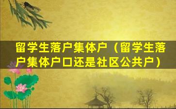 留学生落户集体户（留学生落户集体户口还是社区公共户）