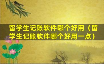 留学生记账软件哪个好用（留学生记账软件哪个好用一点）