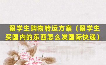 留学生购物转运方案（留学生买国内的东西怎么发国际快递）