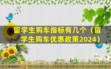 留学生购车指标有几个（留学生购车优惠政策2024）