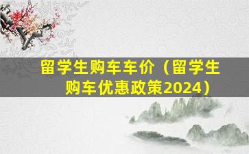 留学生购车车价（留学生购车优惠政策2024）